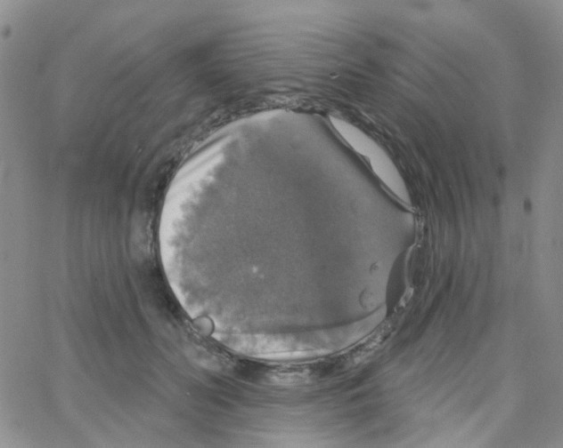 X0000064740606200603131320