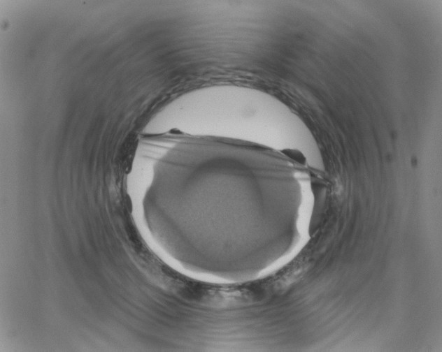 X0000064740607200603131320