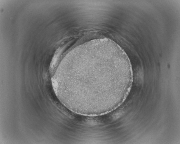 X0000064740608200603131320