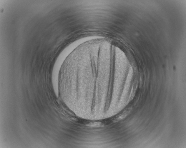 X0000064740609200603131320