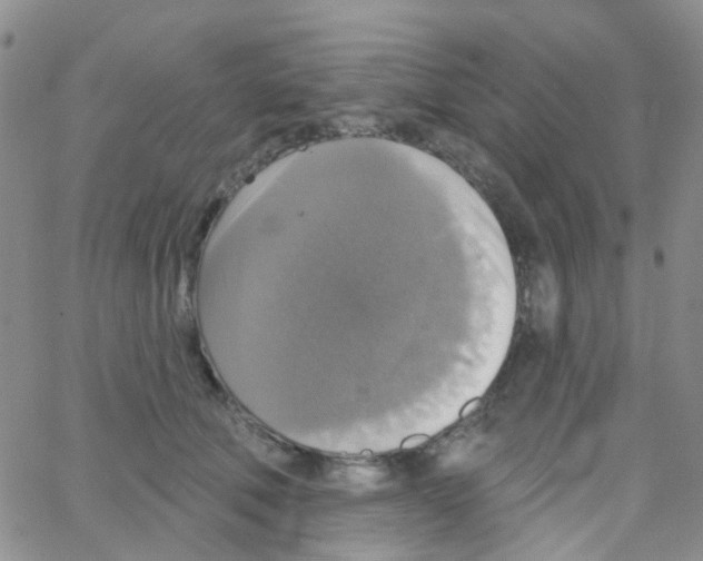 X0000064740610200603131320