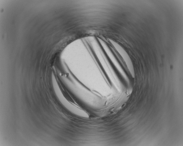 X0000064740611200603131320