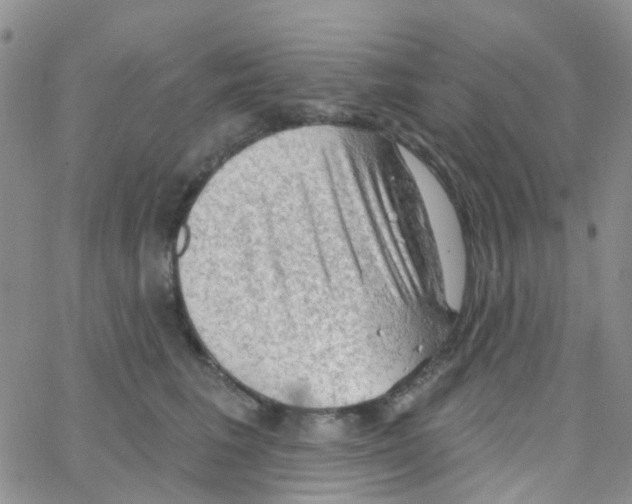 X0000064740613200603131320