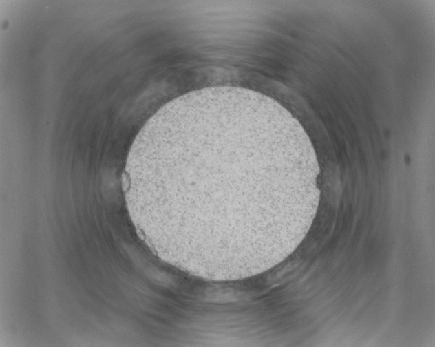 X0000064740614200603131320