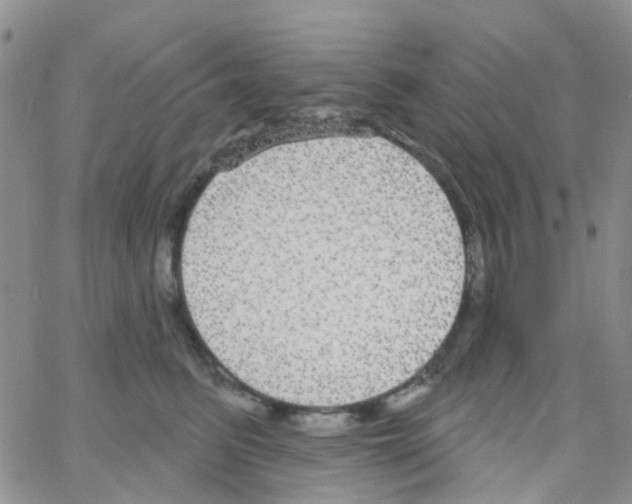 X0000064740615200603131320