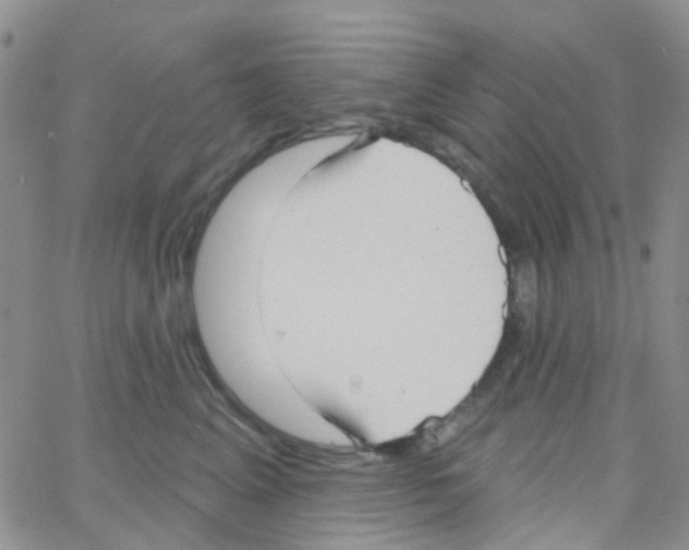 X0000064740617200603131320