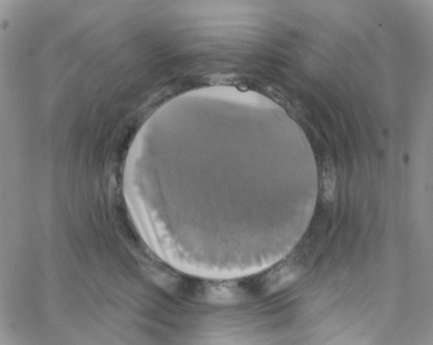 X0000064740618200603131320