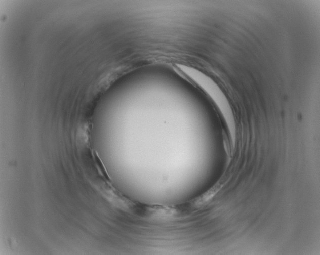 X0000064740621200603131320