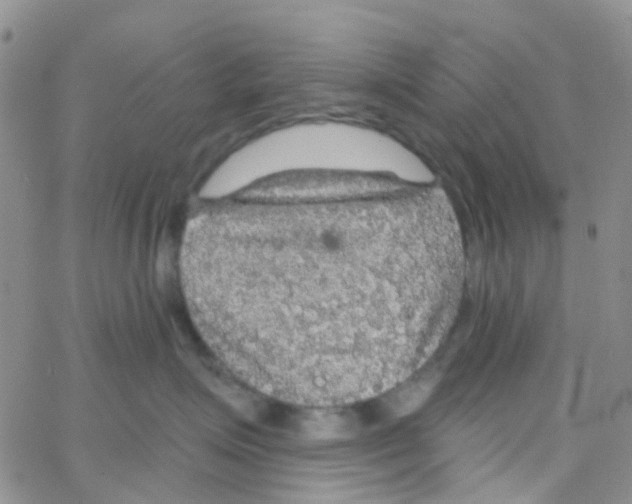 X0000064740623200603131320