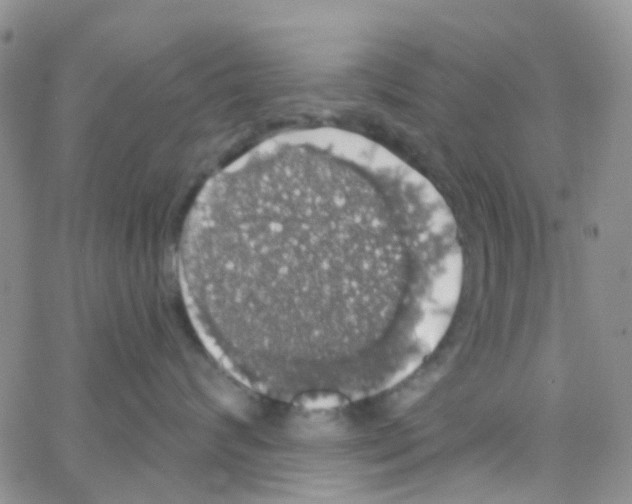 X0000064740624200603131320