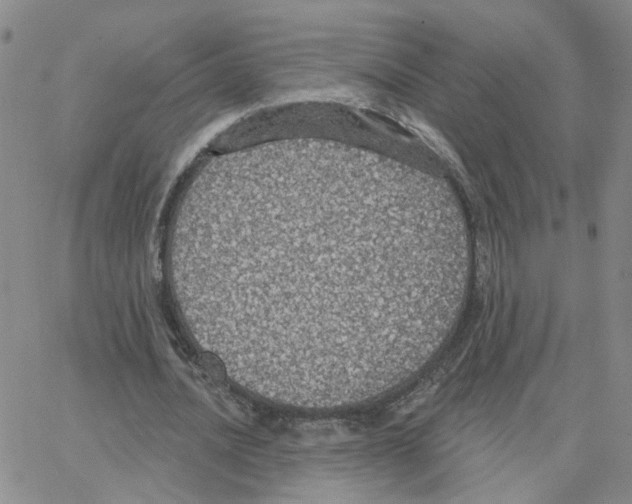 X0000064740628200603131319