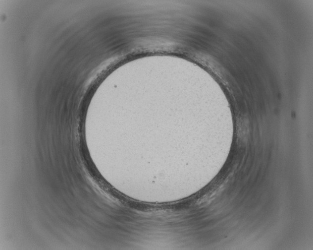 X0000064740629200603131319