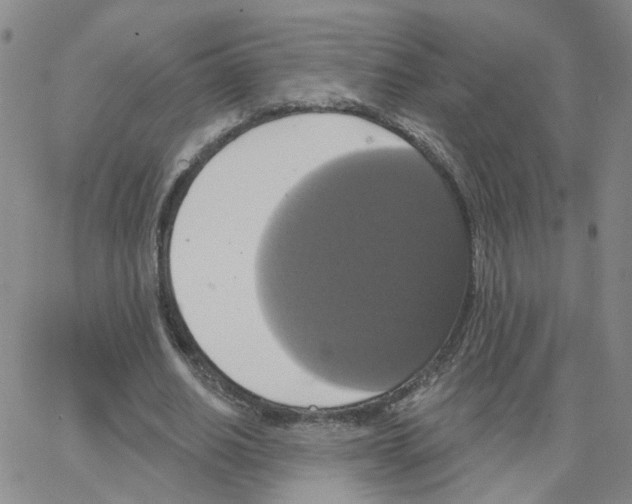 X0000064740630200603131319