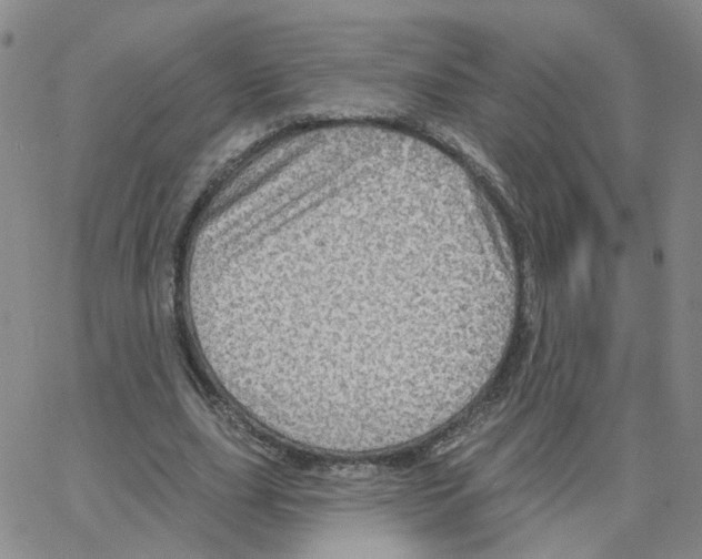 X0000064740631200603131319