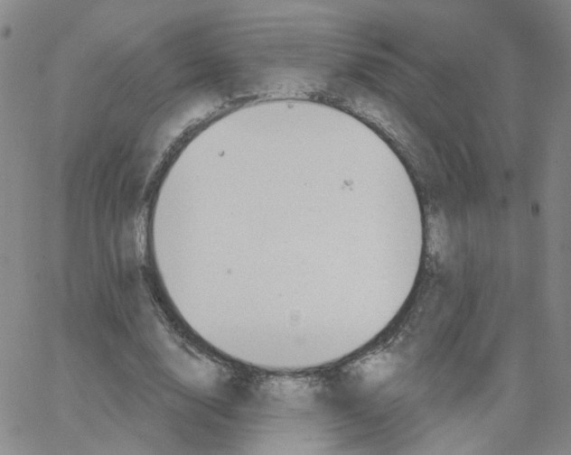 X0000064740632200603131319