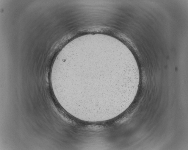 X0000064740633200603131319