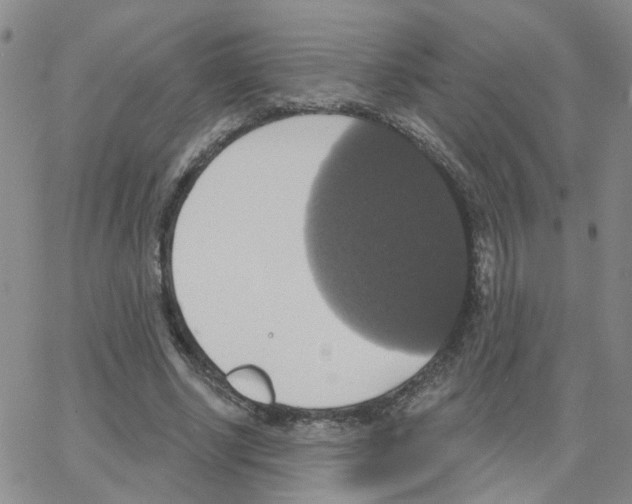 X0000064740634200603131319