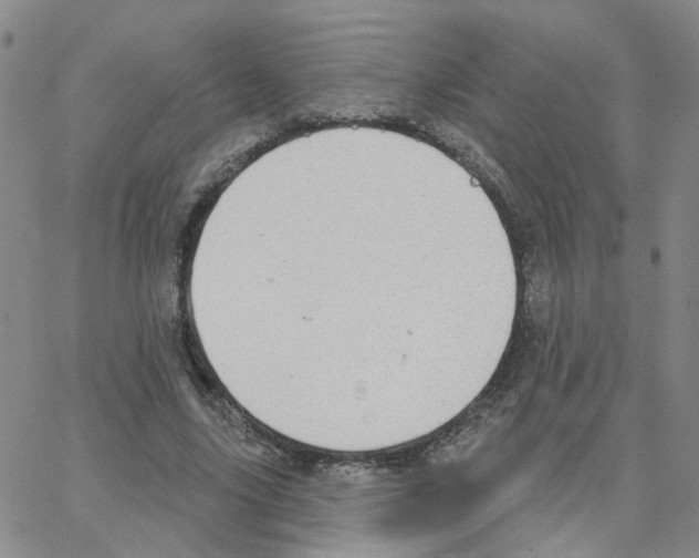 X0000064740635200603131319