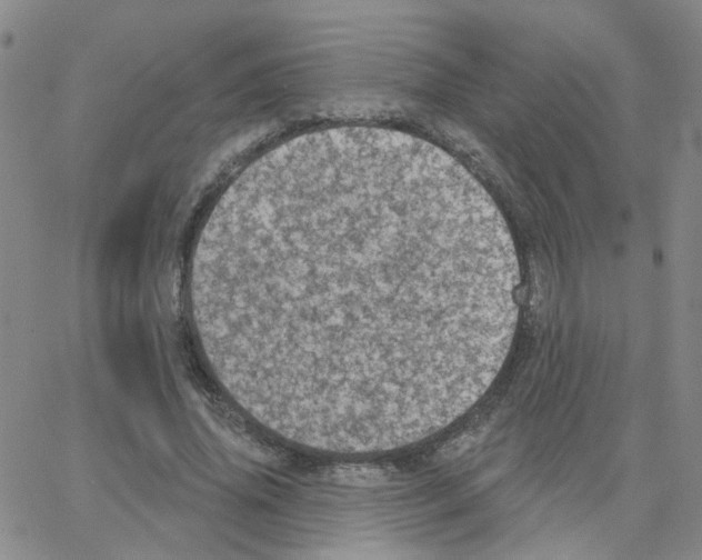 X0000064740636200603131319