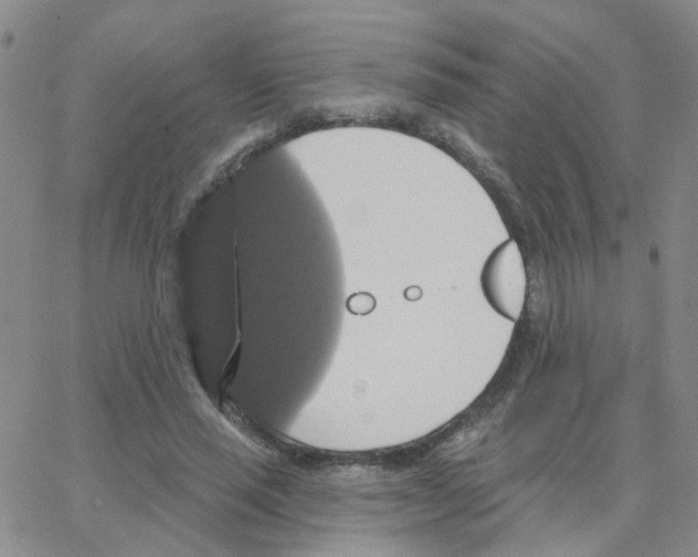 X0000064740637200603131319