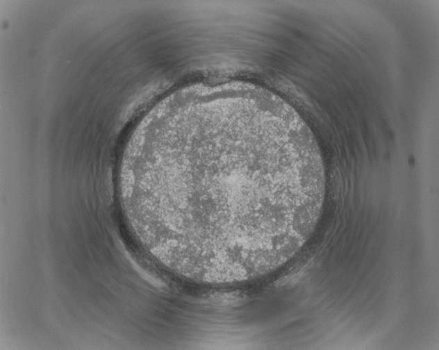 X0000064740638200603131319