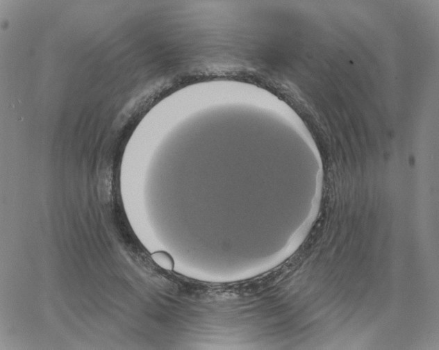 X0000064740640200603131319