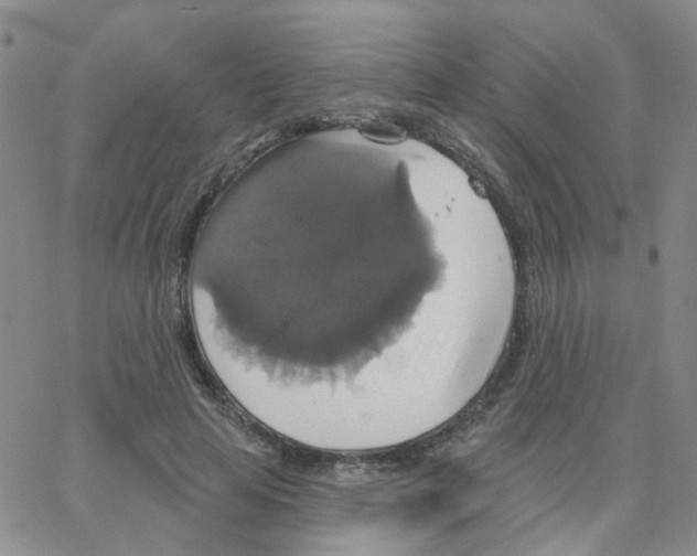 X0000064740641200603131319