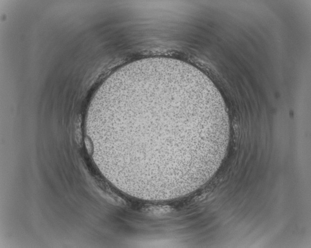 X0000064740642200603131319