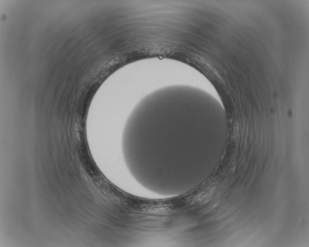 X0000064740643200603131319