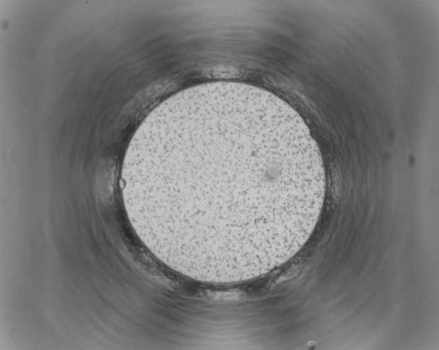 X0000064740645200603131319