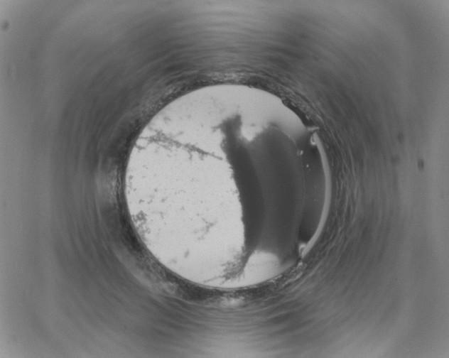 X0000064740647200603131319