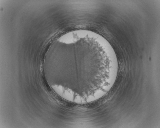 X0000064740648200603131319