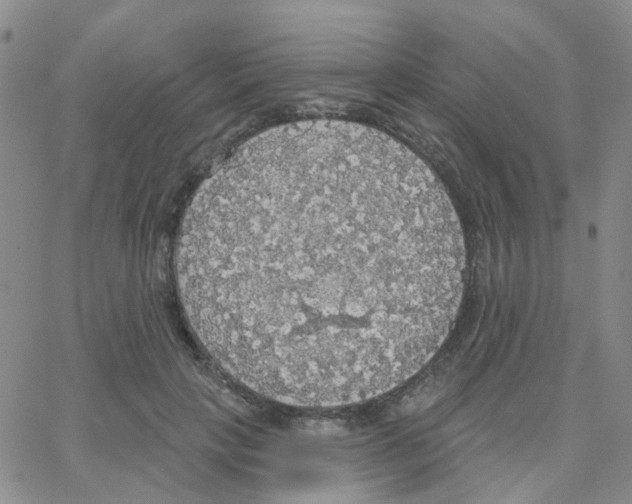 X0000064740649200603131319