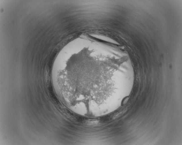 X0000064740651200603131319