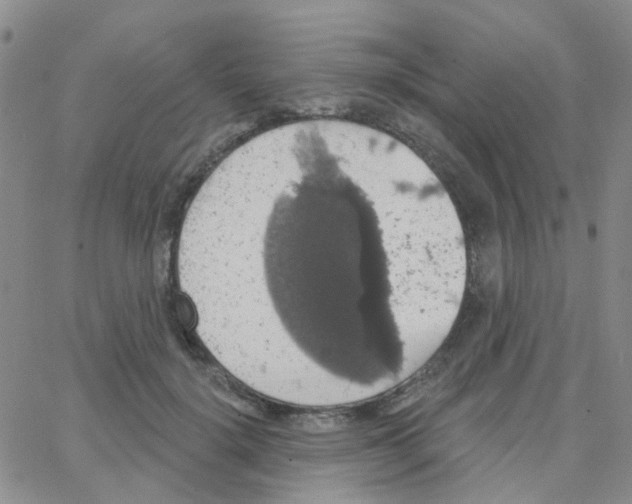 X0000064740652200603131319