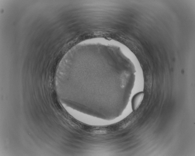 X0000064740653200603131319