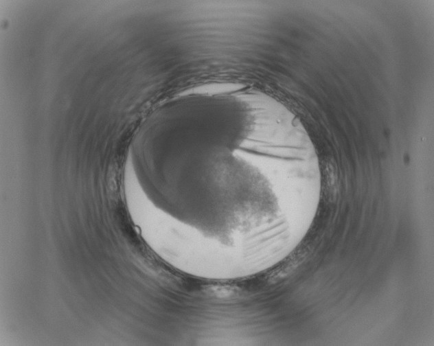 X0000064740654200603131319