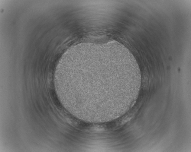 X0000064740656200603131320