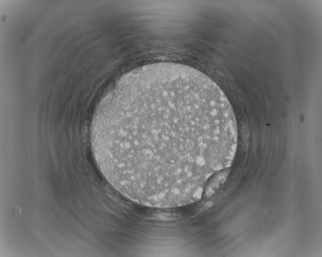 X0000064740657200603131320