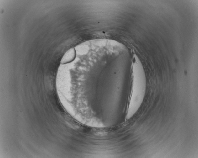 X0000064740658200603131320