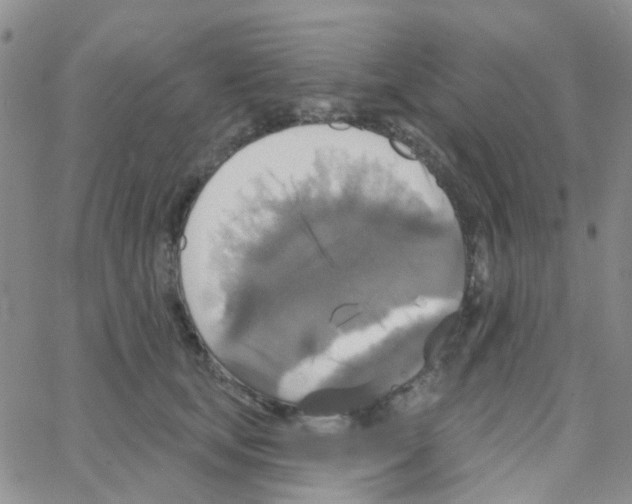 X0000064740659200603131320