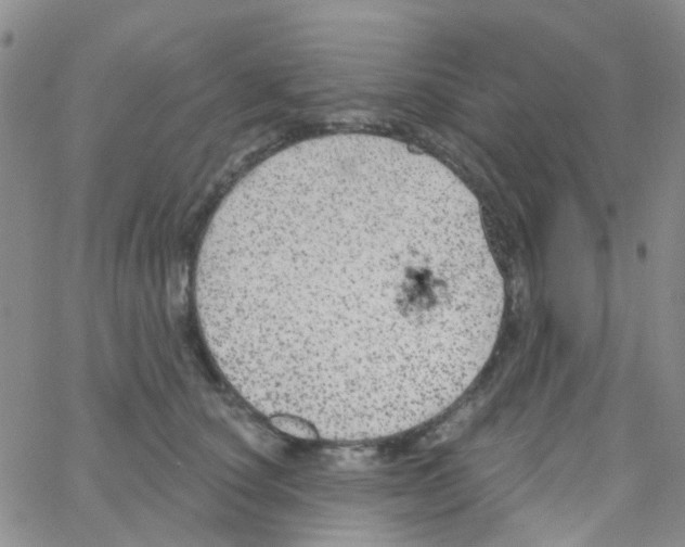 X0000064740660200603131320