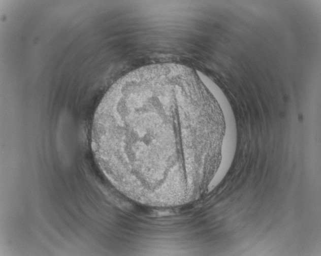 X0000064740662200603131320