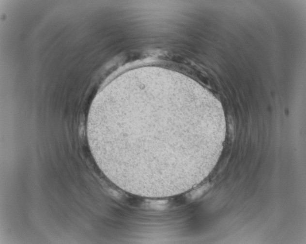 X0000064740665200603131320