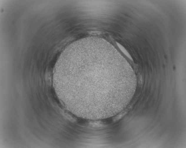 X0000064740666200603131320