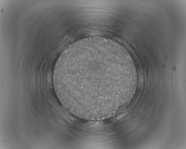 X0000064740667200603131320