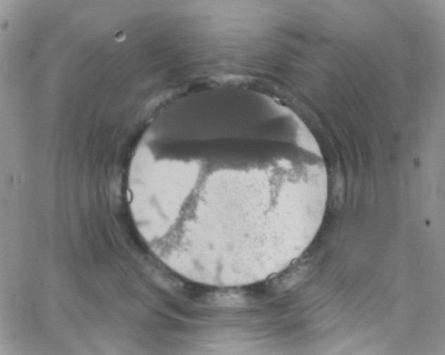 X0000064740668200603131320