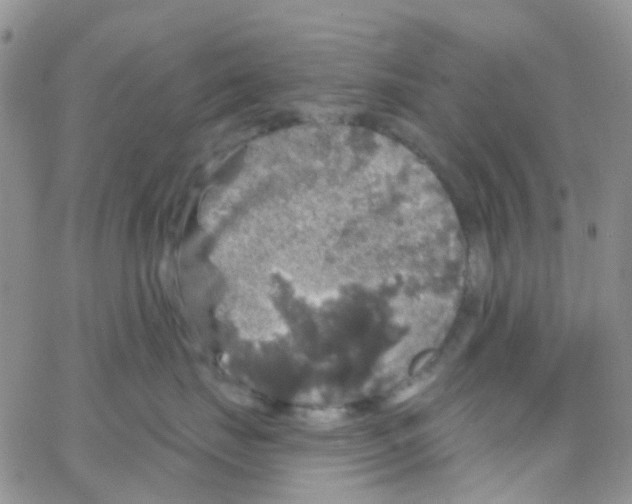 X0000064740671200603131320