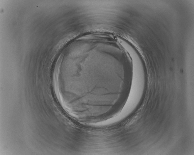 X0000064740673200603131319