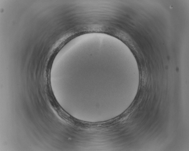 X0000064740674200603131319